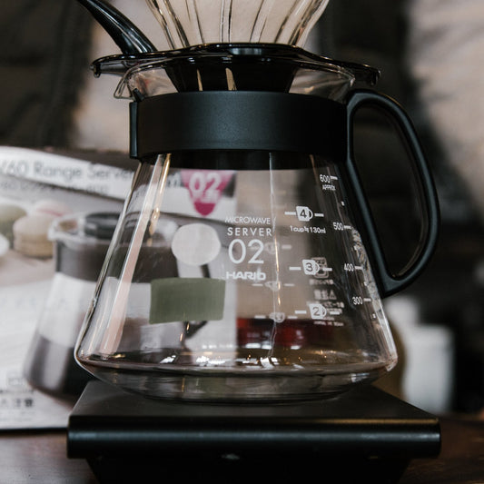 Pour Over Server - Hario 02